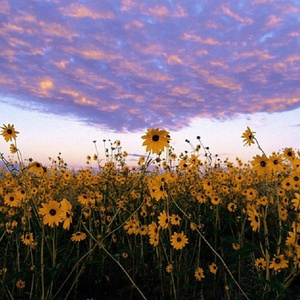 白丝小脚夹住命根
